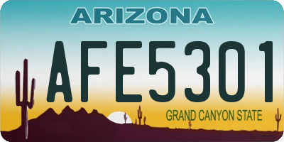 AZ license plate AFE5301