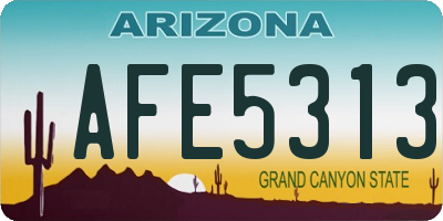 AZ license plate AFE5313