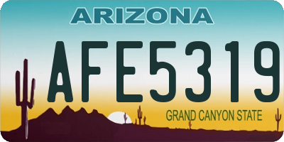 AZ license plate AFE5319