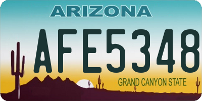AZ license plate AFE5348