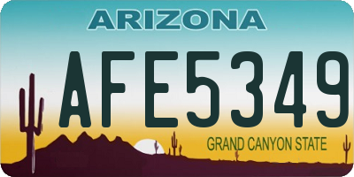 AZ license plate AFE5349