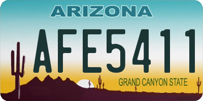 AZ license plate AFE5411