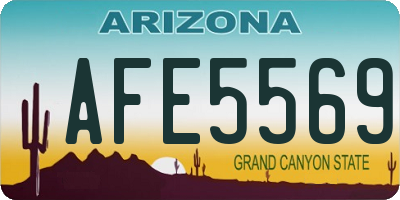 AZ license plate AFE5569