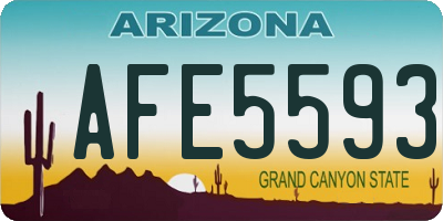 AZ license plate AFE5593