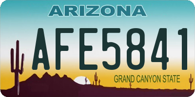 AZ license plate AFE5841