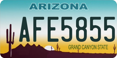 AZ license plate AFE5855