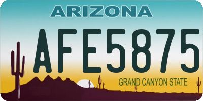 AZ license plate AFE5875