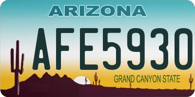 AZ license plate AFE5930