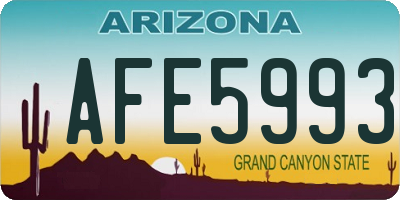 AZ license plate AFE5993