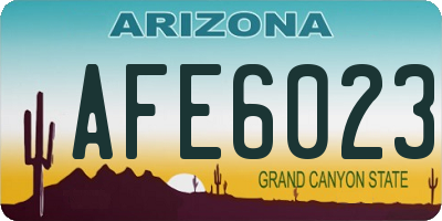 AZ license plate AFE6023