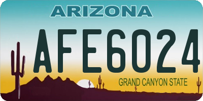 AZ license plate AFE6024