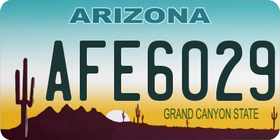 AZ license plate AFE6029
