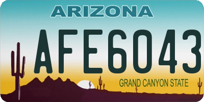 AZ license plate AFE6043