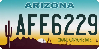 AZ license plate AFE6229