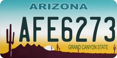 AZ license plate AFE6273