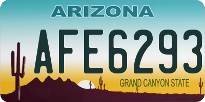 AZ license plate AFE6293