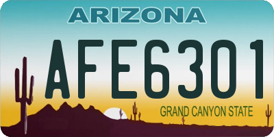 AZ license plate AFE6301