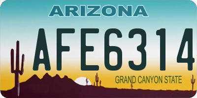 AZ license plate AFE6314