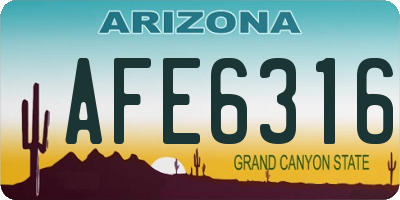 AZ license plate AFE6316
