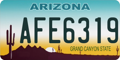 AZ license plate AFE6319