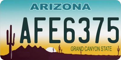 AZ license plate AFE6375