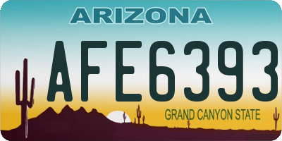 AZ license plate AFE6393