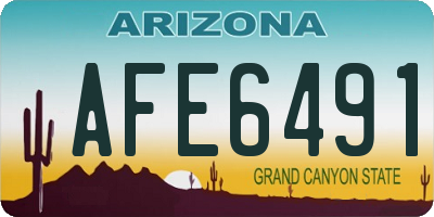 AZ license plate AFE6491