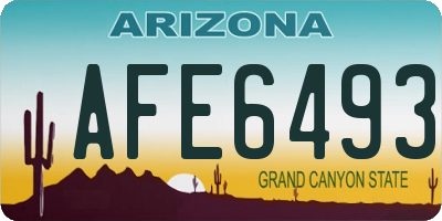 AZ license plate AFE6493