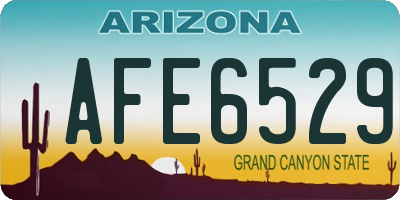 AZ license plate AFE6529