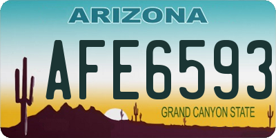 AZ license plate AFE6593
