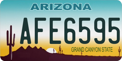 AZ license plate AFE6595