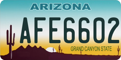 AZ license plate AFE6602