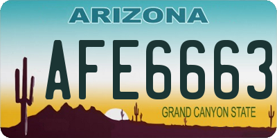AZ license plate AFE6663