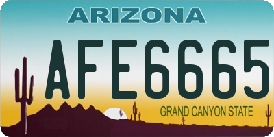 AZ license plate AFE6665