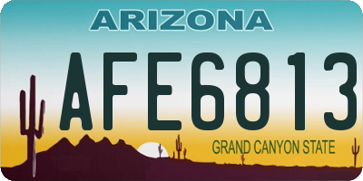 AZ license plate AFE6813