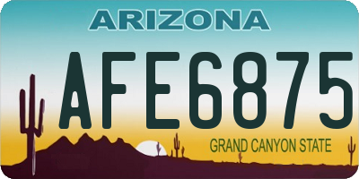 AZ license plate AFE6875