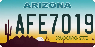AZ license plate AFE7019