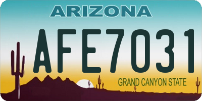 AZ license plate AFE7031