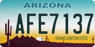 AZ license plate AFE7137
