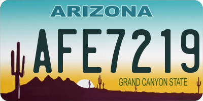 AZ license plate AFE7219