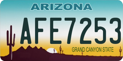 AZ license plate AFE7253