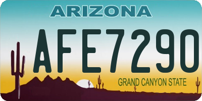 AZ license plate AFE7290