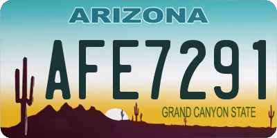 AZ license plate AFE7291