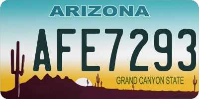 AZ license plate AFE7293