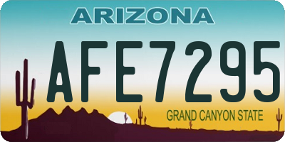 AZ license plate AFE7295