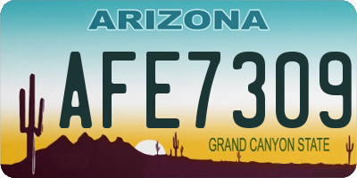 AZ license plate AFE7309