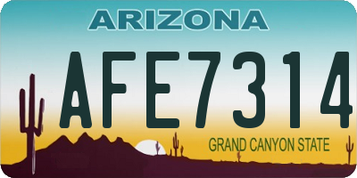 AZ license plate AFE7314