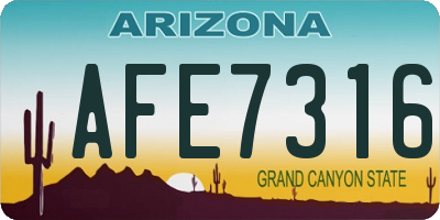 AZ license plate AFE7316
