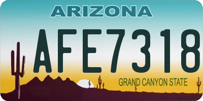 AZ license plate AFE7318