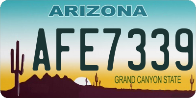 AZ license plate AFE7339